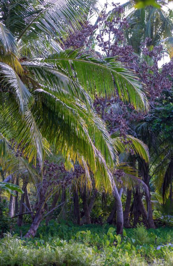 Silver County Hotel, Fuvahmulah - Maldives Bagian luar foto